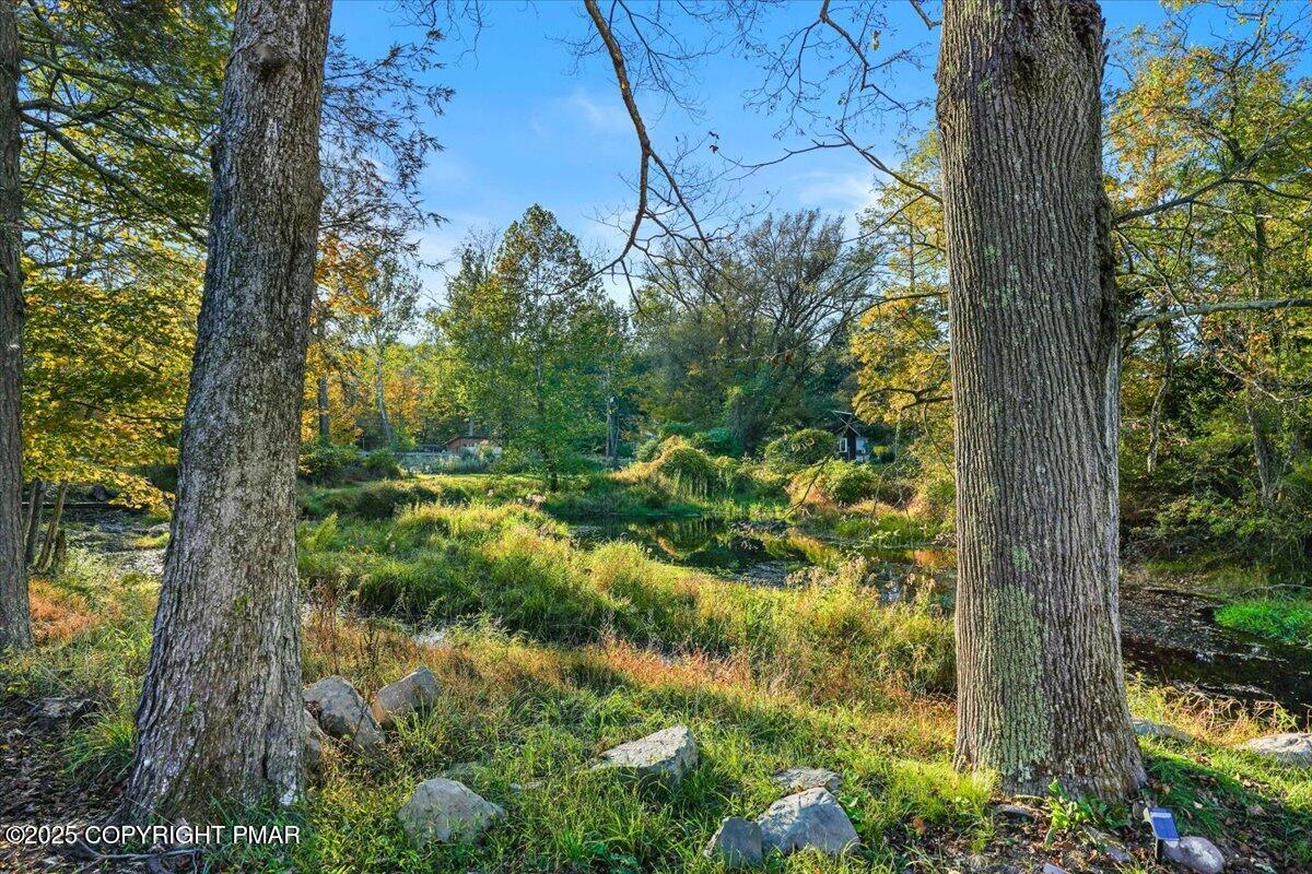3 Stone Tree Drive Canadensis, PA 18325 - Photo 51 of 201 20-Photo-20