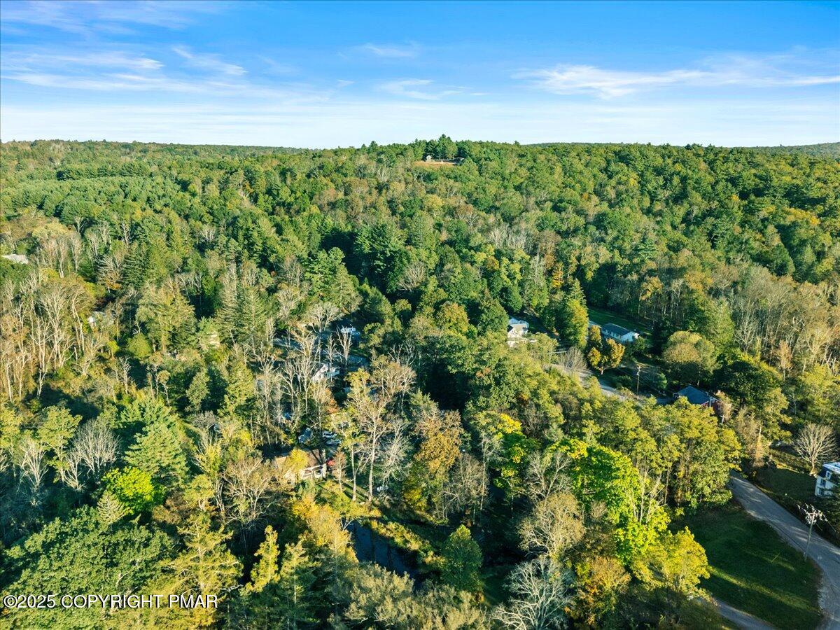 3 Stone Tree Drive Canadensis, PA 18325 - Photo 56 of 201 28-Photo-28