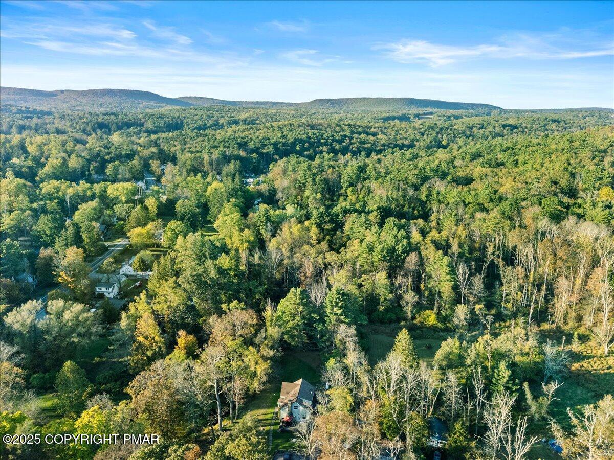 3 Stone Tree Drive Canadensis, PA 18325 - Photo 57 of 201 29-Photo-29