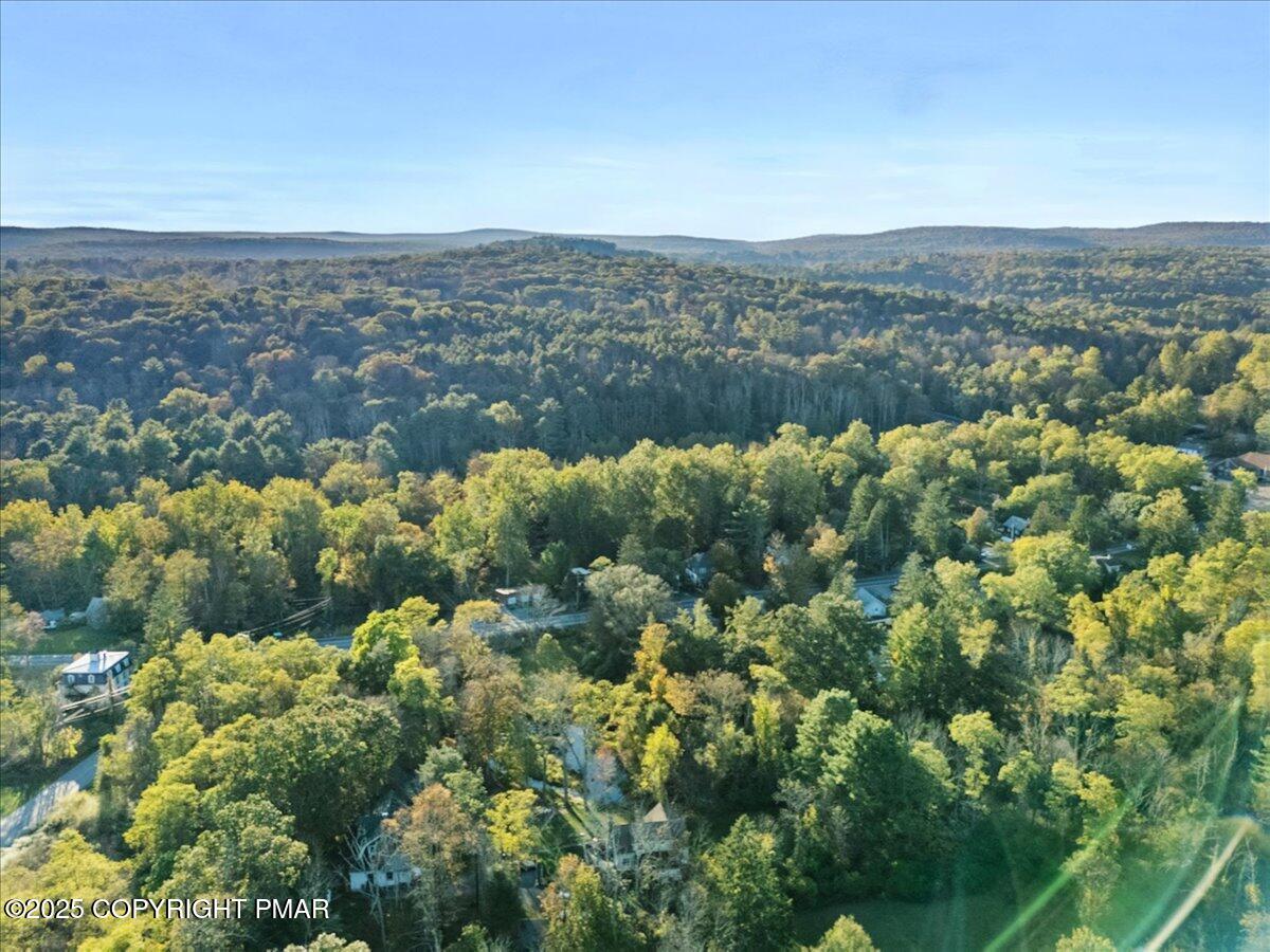 3 Stone Tree Drive Canadensis, PA 18325 - Photo 58 of 201 30-Photo-30
