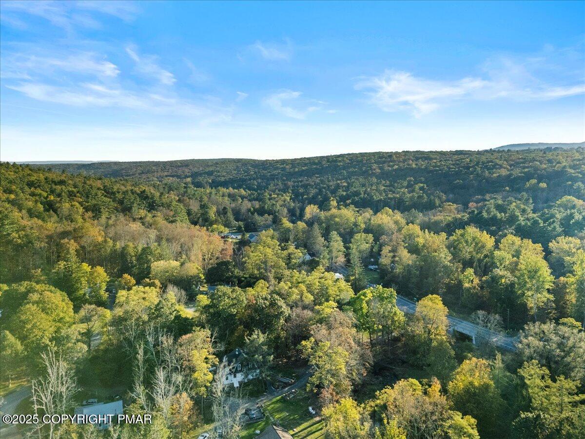 3 Stone Tree Drive Canadensis, PA 18325 - Photo 59 of 201 31-Photo-31