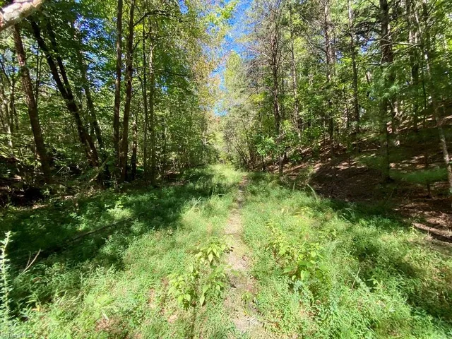 $400,000 | 20.2-ac Pine Terrace Drive, Mount Airy, NC 27030