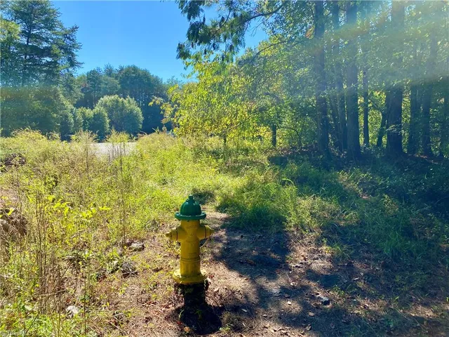 $400,000 | 20.2-ac Pine Terrace Drive, Mount Airy, NC 27030