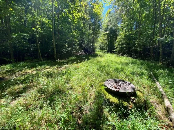 $400,000 | 20.2-ac Pine Terrace Drive, Mount Airy, NC 27030