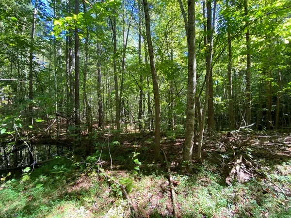 $400,000 | 20.2-ac Pine Terrace Drive, Mount Airy, NC 27030