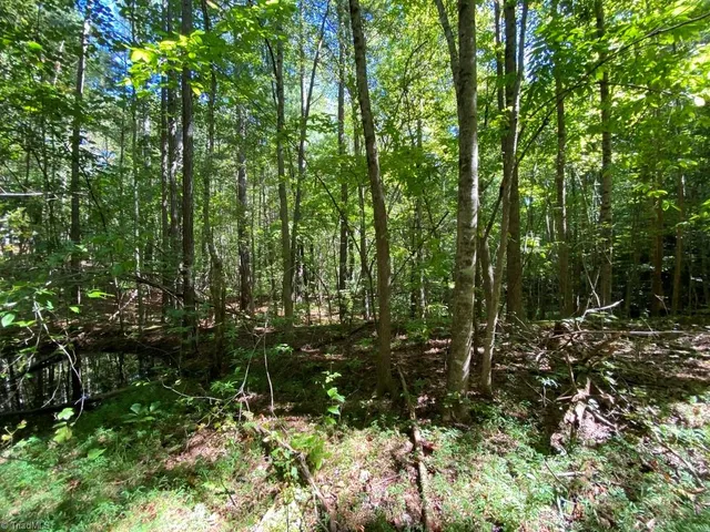$400,000 | 20.2-ac Pine Terrace Drive, Mount Airy, NC 27030