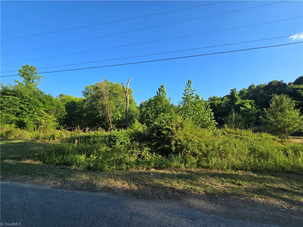 217 Cedar Ridge Road Randleman, NC 27317 - Photo 14 of 18