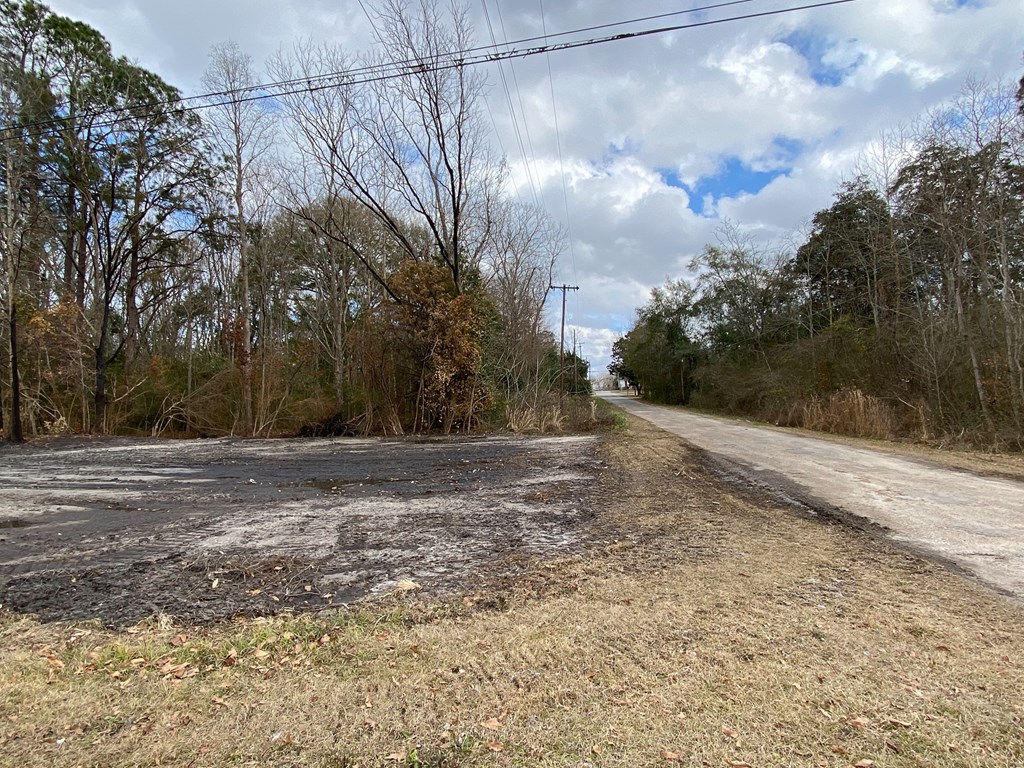 0 South Broad Street Samson, AL 36477 - Photo 2 of 10