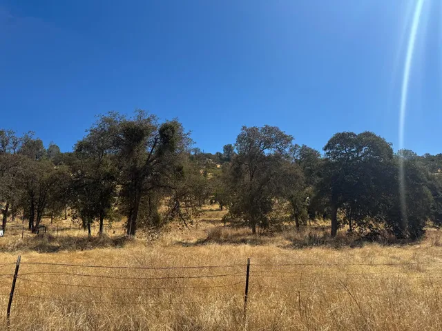 a view of a yard covered with snow in front of house