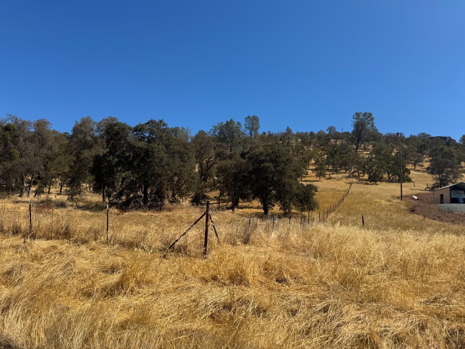 837 Castillo Way La Grange, CA 95329 - Photo 2 of 9 a view of a yard with a tree