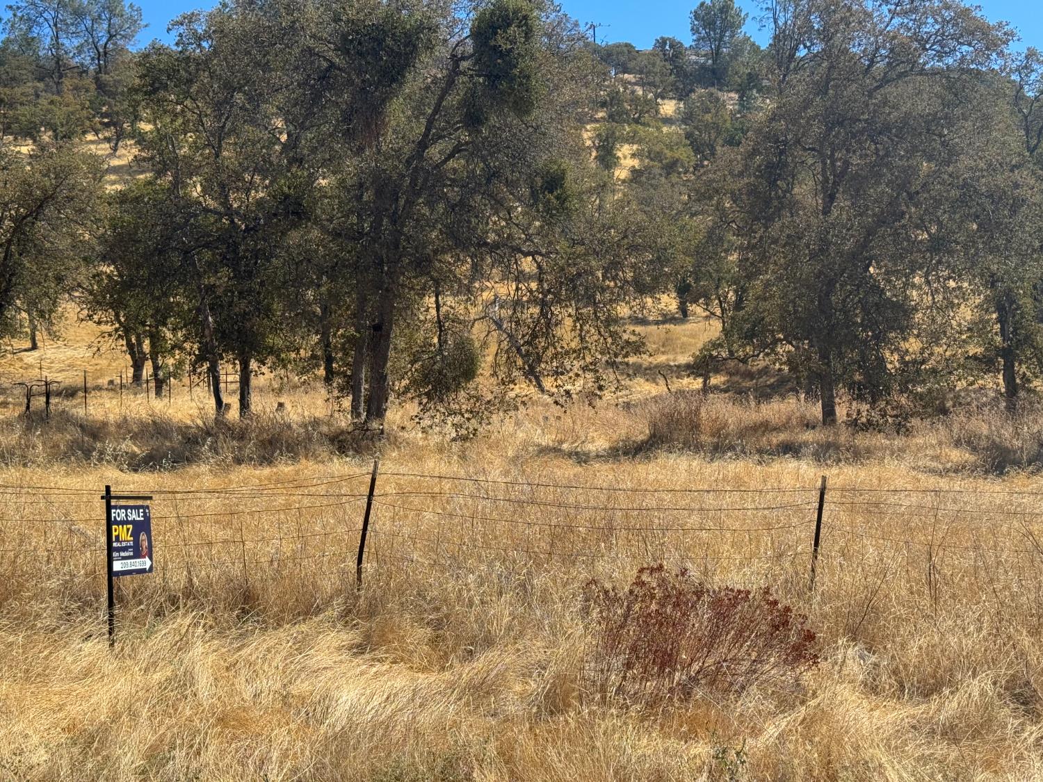 837 Castillo Way La Grange, CA 95329 - Photo 9 of 9 a view of lake