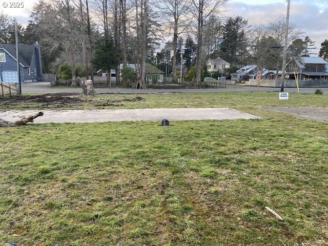 1204 37th Place Seaview, WA 98644 - Photo 4 of 19 a view of a park with large trees