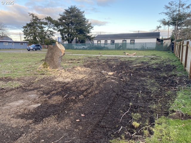 1204 37th Place Seaview, WA 98644 - Photo 8 of 19 a backyard of a house with lots of green space
