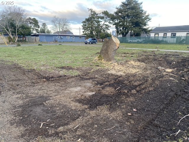 1204 37th Place Seaview, WA 98644 - Photo 10 of 19 a view of a house with a yard