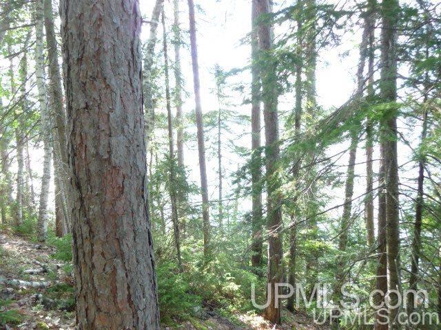 Tbd Cable Lake Rd Parcel 4 Amasa, MI 49903 - Photo 23 of 24
