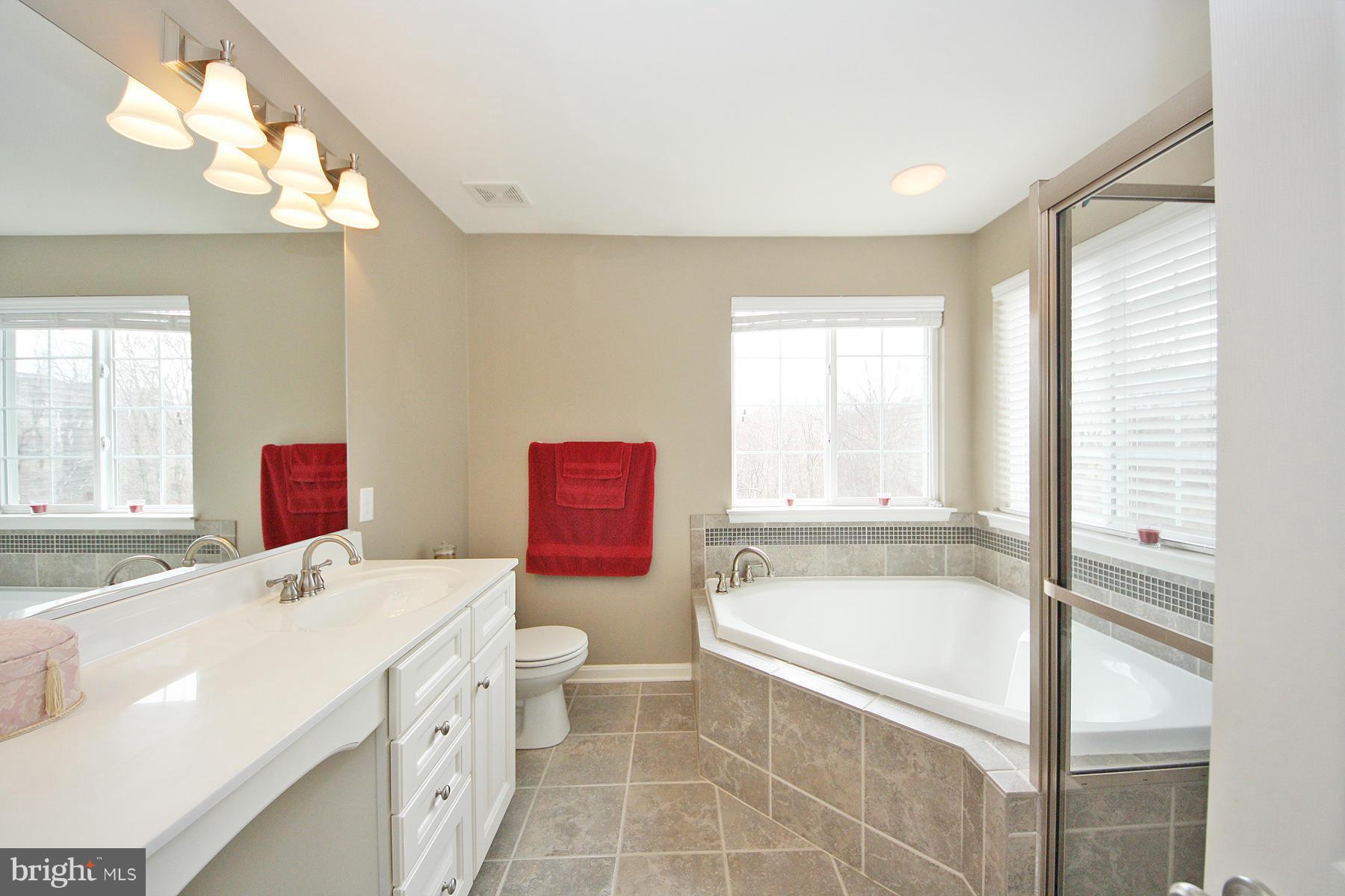 5946 Fairlee Road Elkridge, MD 21075 - Photo 20 of 29 Master Bath Double Sinks