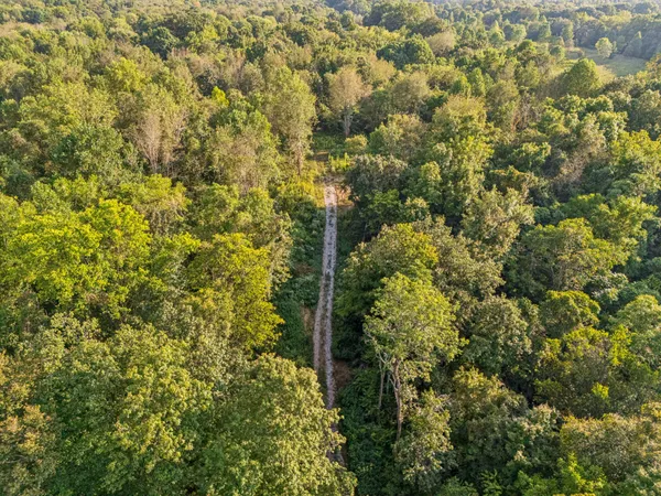 a view of a tree with a house
