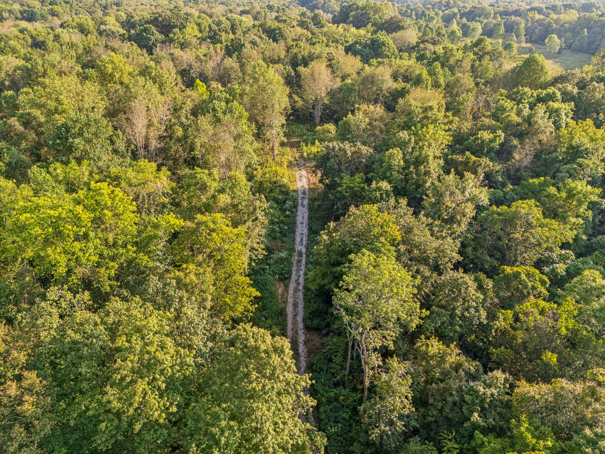 3294 Burr Road Springfield, TN 37172 - Photo 13 of 18 a view of a tree with a house
