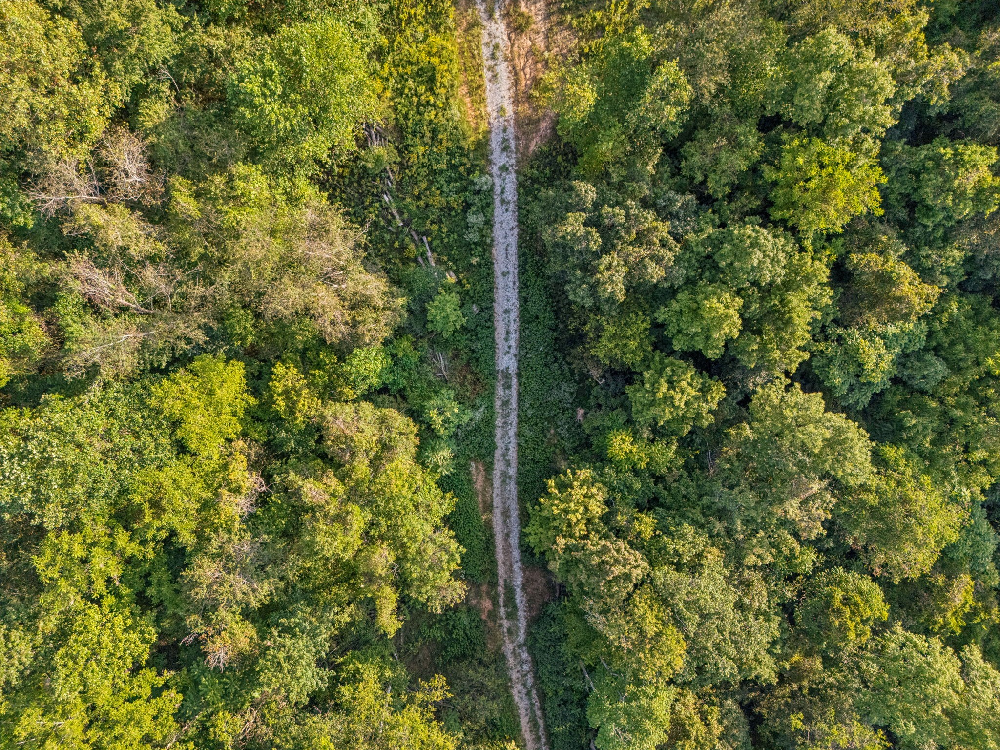 3294 Burr Road Springfield, TN 37172 - Photo 14 of 18 a view of forest