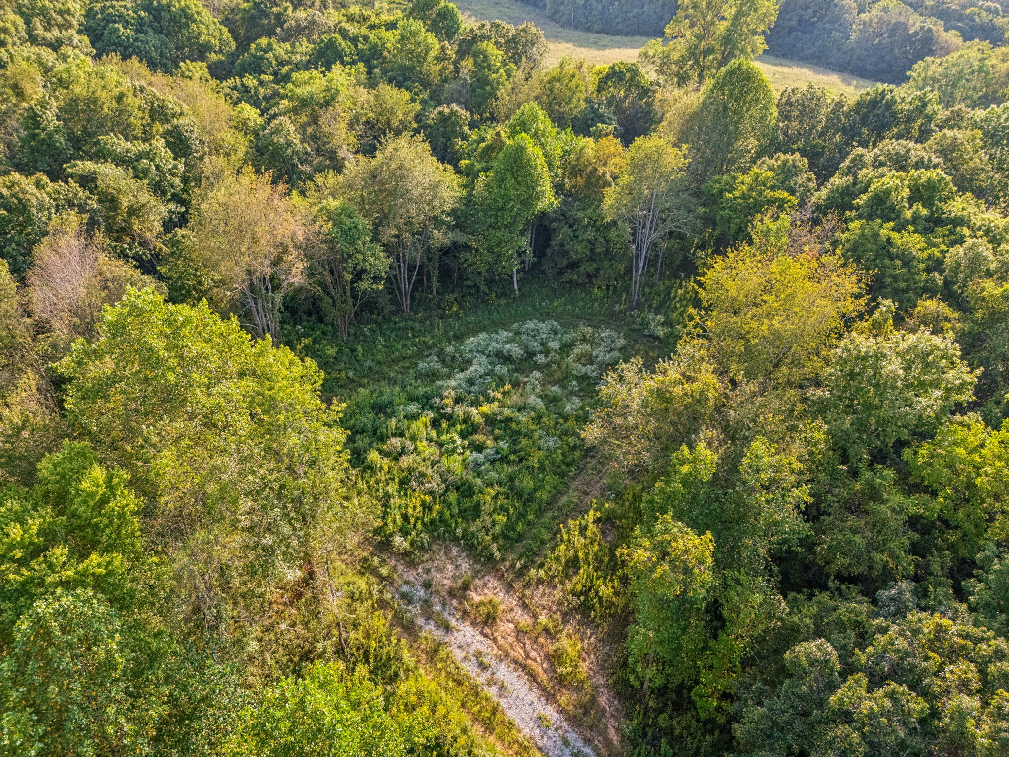 3294 Burr Road Springfield, TN 37172 - Photo 15 of 18 a view of a garden