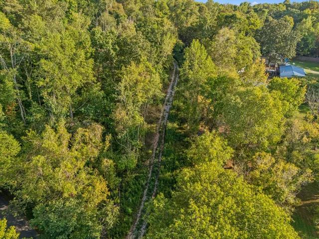 a view of a yard of a building