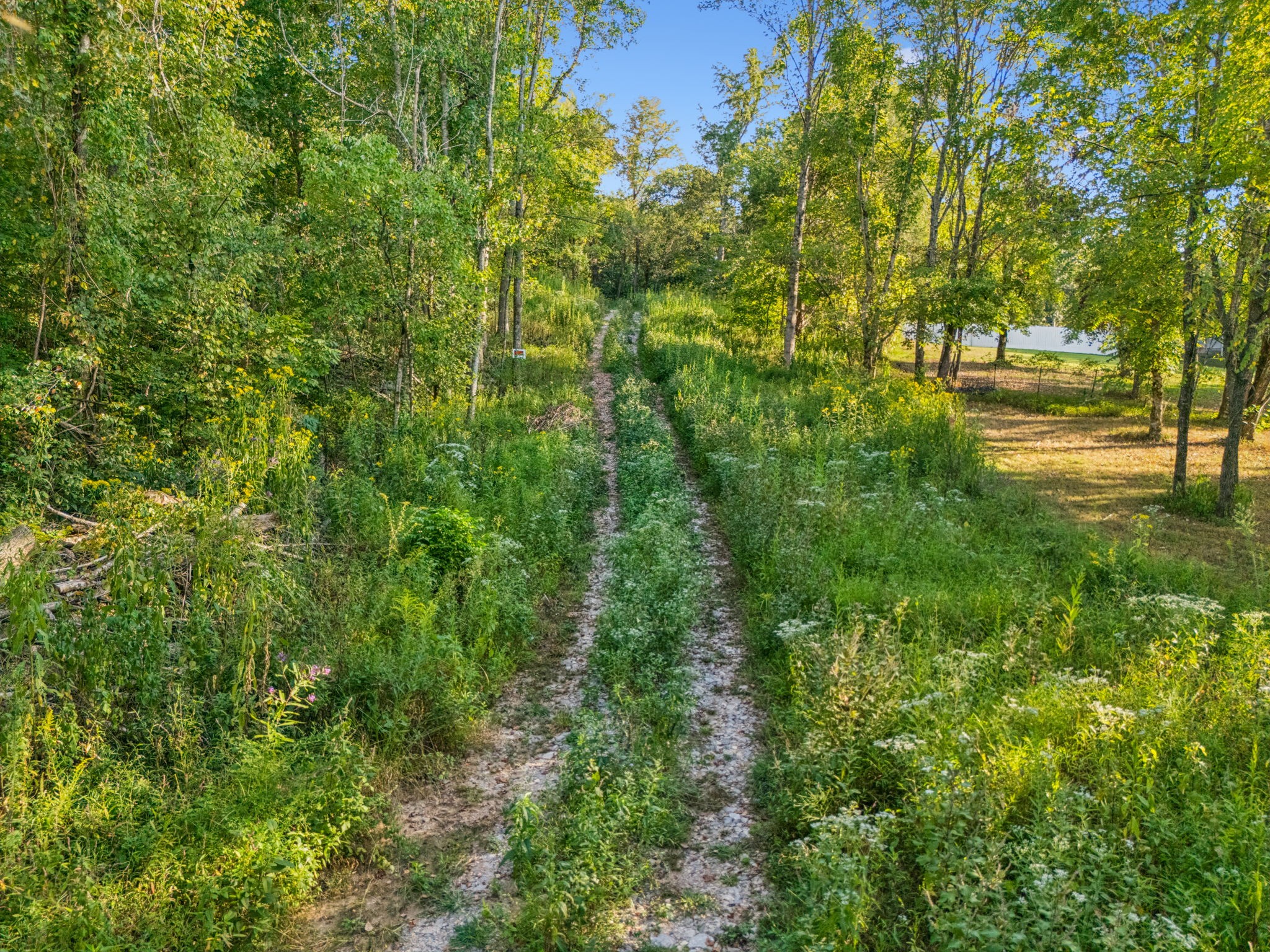 3294 Burr Road Springfield, TN 37172 - Photo 3 of 18 a view of yard with green space