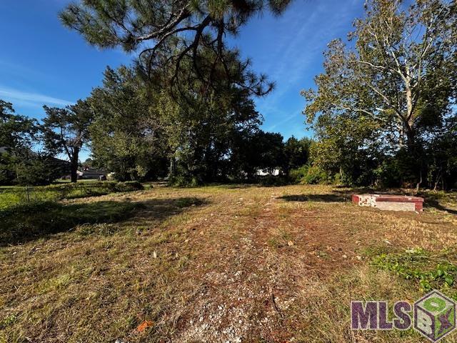 2135 Pocahontas Street Baton Rouge, LA 70802 - Photo 2 of 4