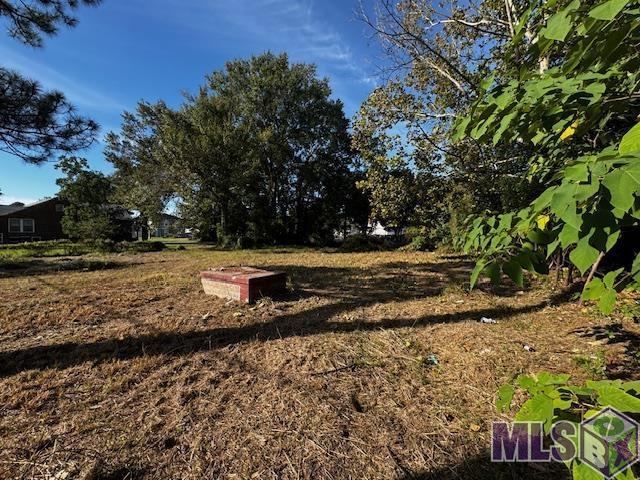 2135 Pocahontas Street Baton Rouge, LA 70802 - Photo 3 of 4