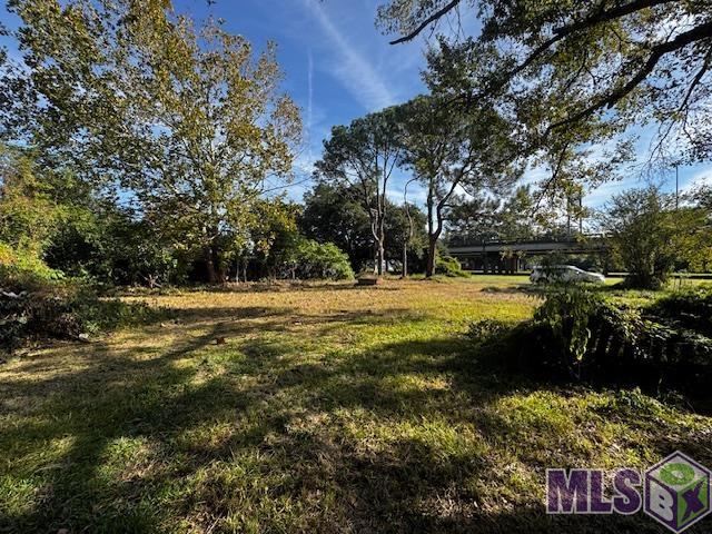 2135 Pocahontas Street Baton Rouge, LA 70802 - Photo 4 of 4