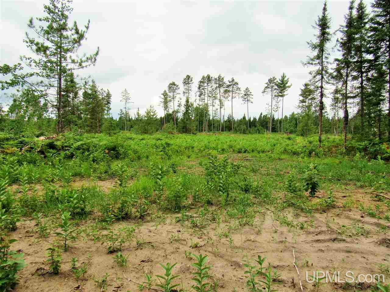 Tbd Co Rd 436 Gulliver, MI 49840 - Photo 10 of 10 Gallery Image 10