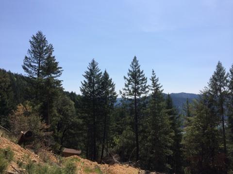 30-acres Bowerman Ridge Road, Unit NONE Trinity Center, CA 96091 - Photo 5 of 7