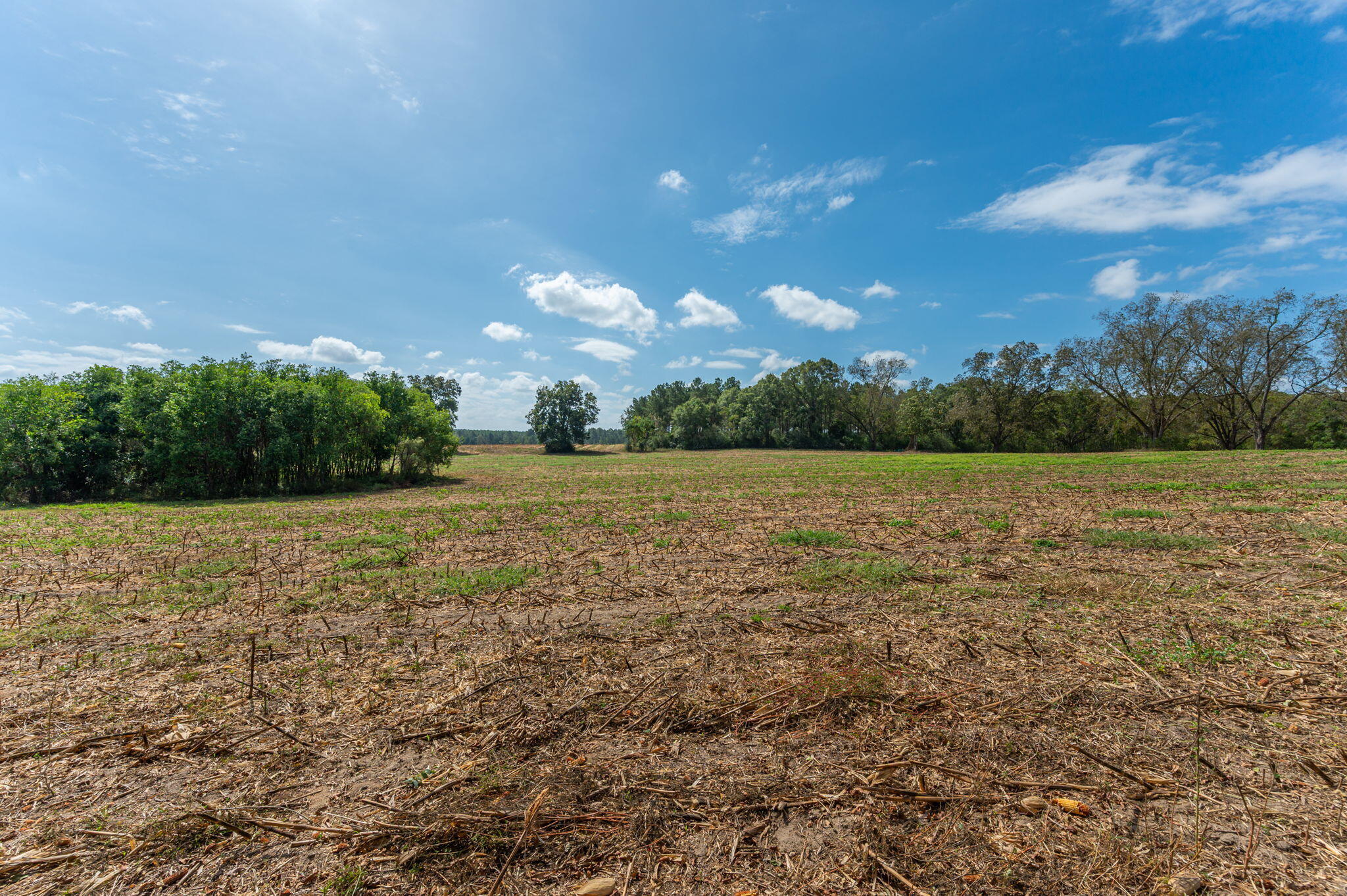 3-acre -e Prescott Road Florala, AL 36442 - Photo 12 of 38 68-web-or-mls-1950-prescott-rd