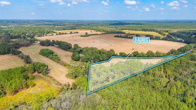 3-acre -e Prescott Road Florala, AL 36442 - Photo 2 of 38 3 - E Prescott