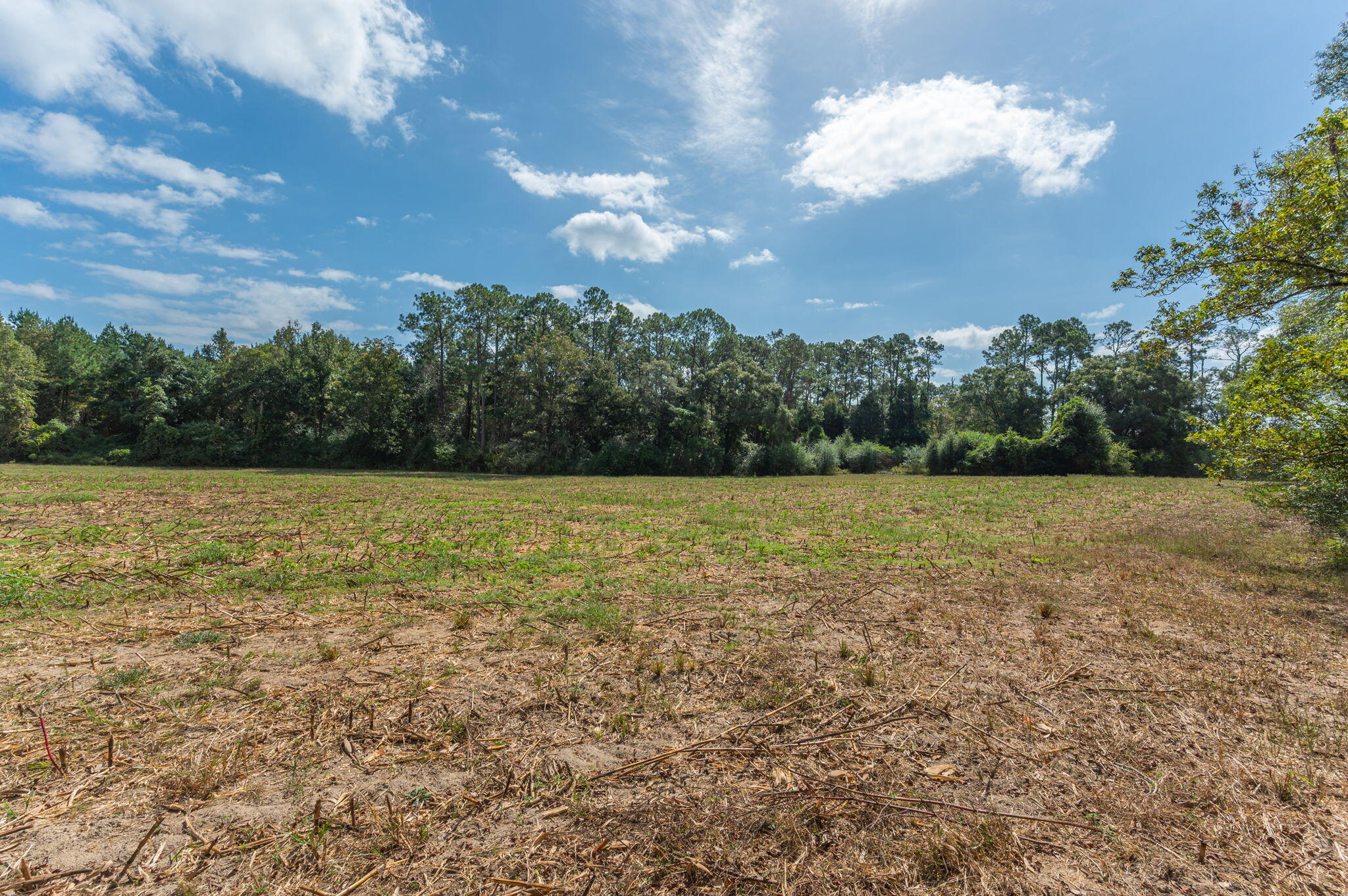3-acre -e Prescott Road Florala, AL 36442 - Photo 25 of 38 81-web-or-mls-1950-prescott-rd