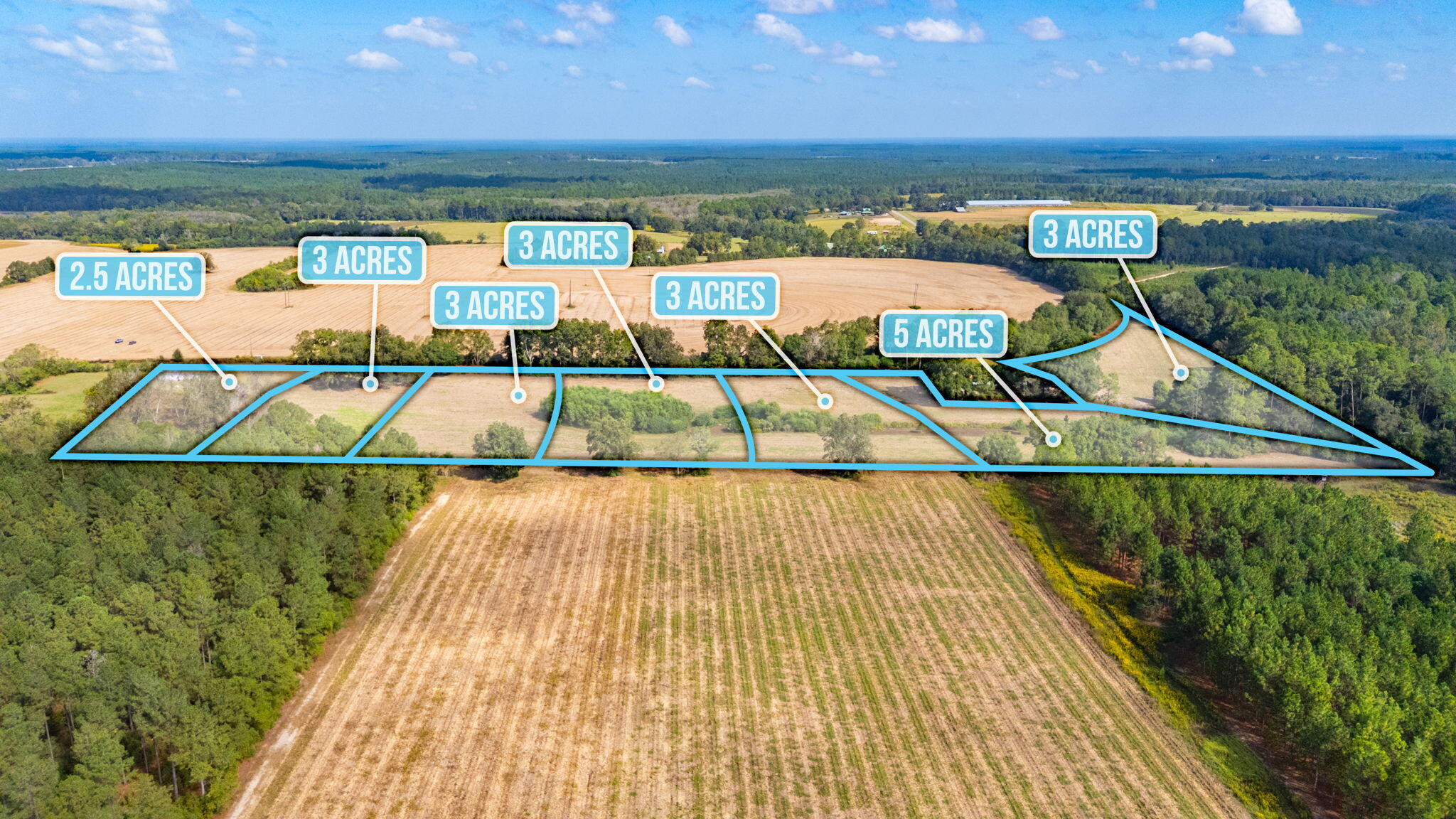 3-acre -e Prescott Road Florala, AL 36442 - Photo 4 of 38 47-web-or-mls-1950-prescott-rd