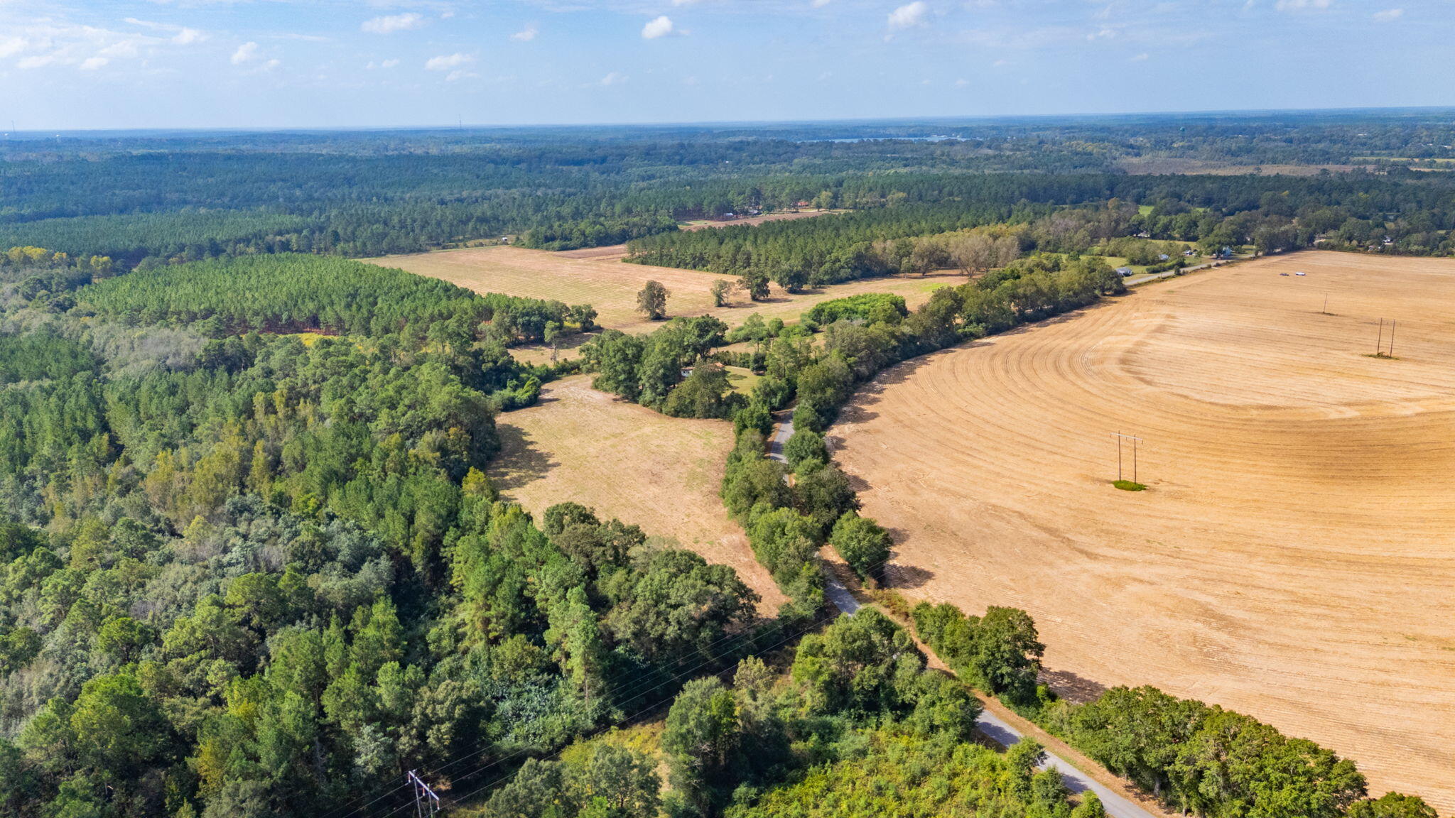 3-acre -e Prescott Road Florala, AL 36442 - Photo 6 of 38 55-web-or-mls-1950-prescott-rd - Copy