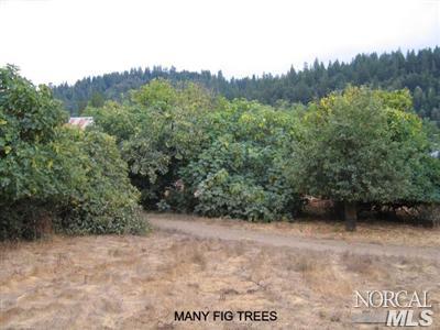 51000 Nash Mill Road Philo, CA 95466 - Photo 8 of 10 a view of a valley