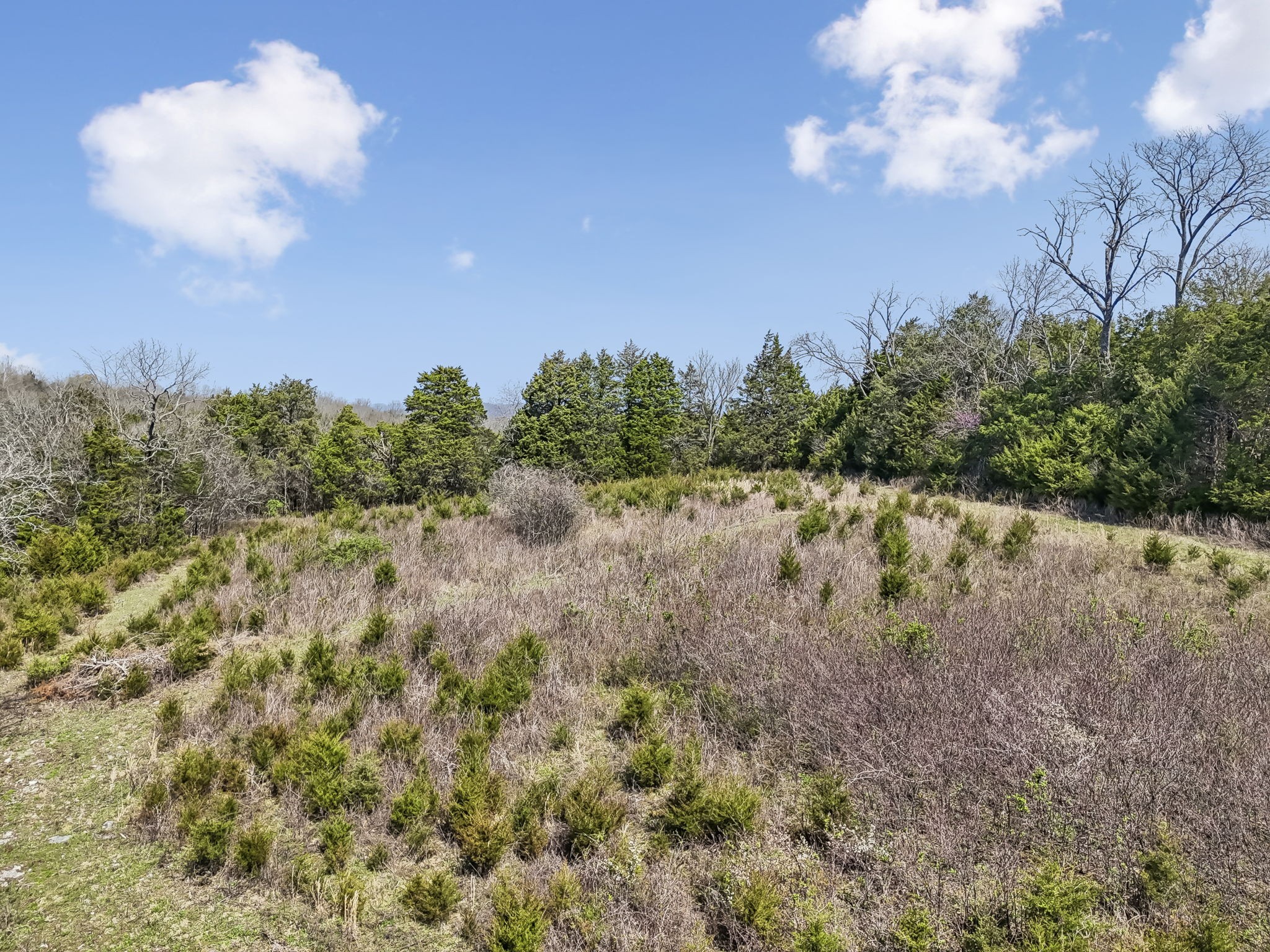 2035 Lassiter Road Readyville, TN 37149 - Photo 69 of 73 Gallery Image 69