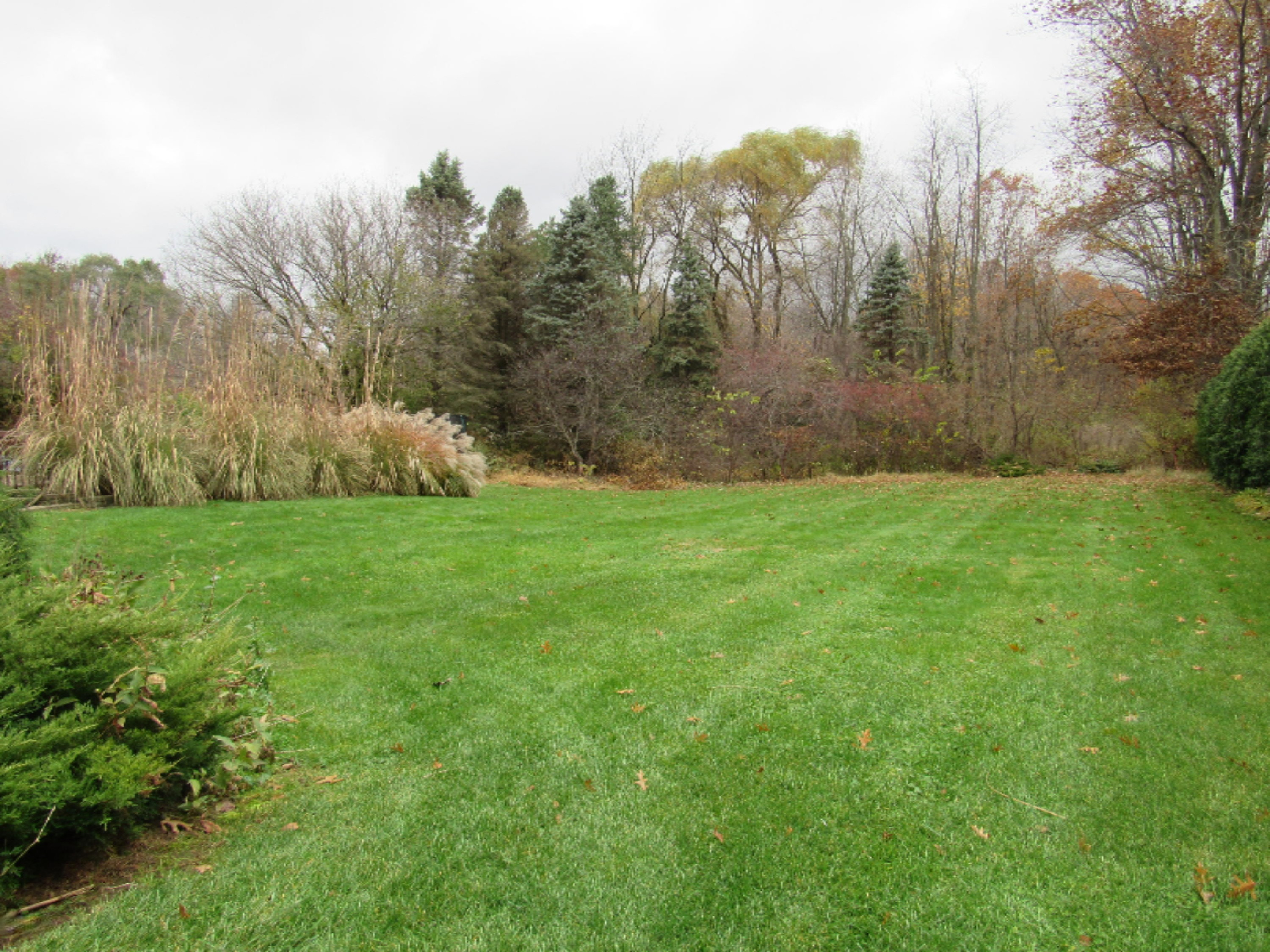6287 Long Lake Road Berrien Springs, MI 49103 - Photo 33 of 35 20181104_14