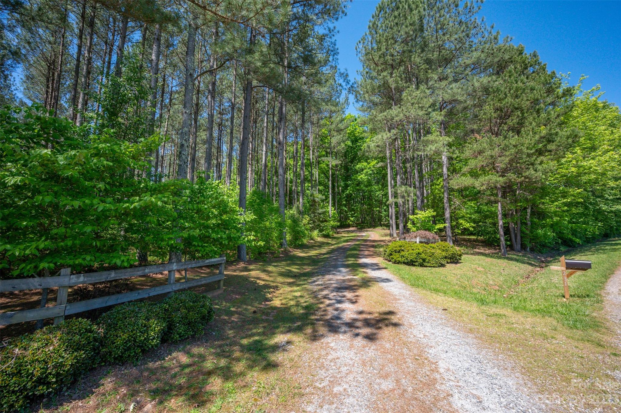 231 Old Gilbert Town Road Rutherfordton, NC 28139 - Photo 5 of 48 a view of backyard with green space