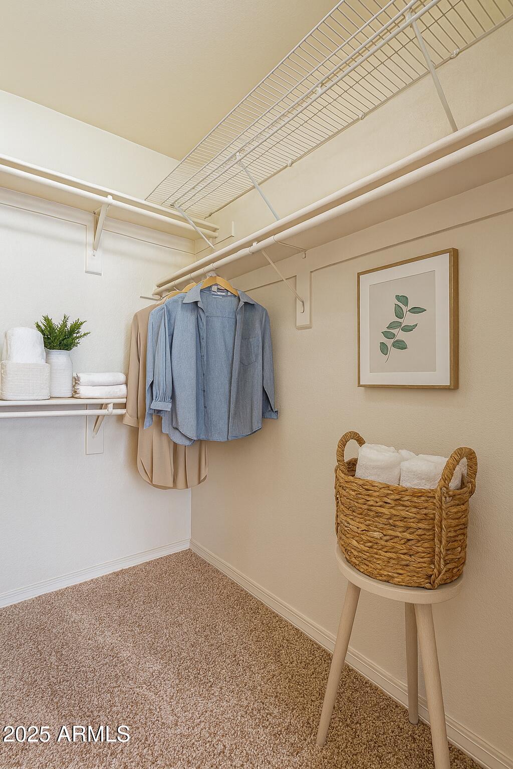 855 North Dobson Road, Unit 2090 Chandler, AZ 85224 - Photo 9 of 15 Guest Closet