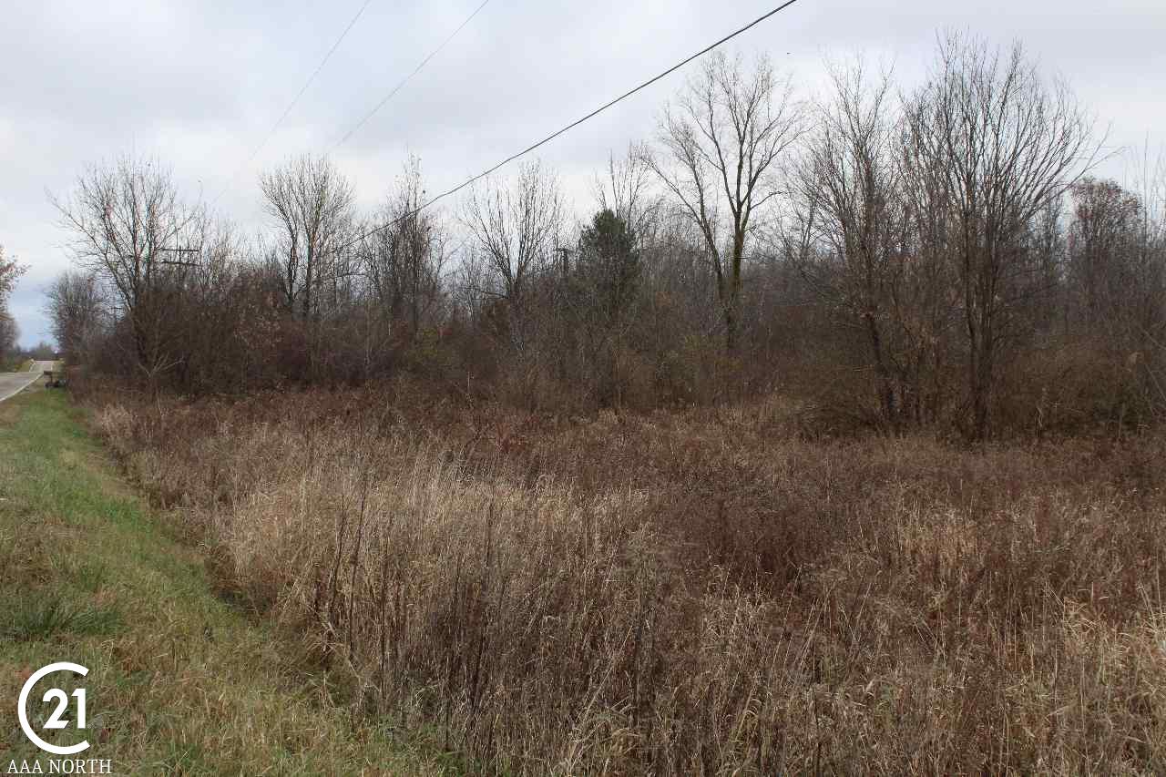 0 South Lake George Road Attica, MI 48412 - Photo 6 of 9