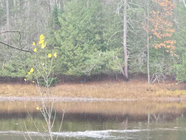 $650,000 | Park Drive, Unit 7, Wausaukee, WI 54177