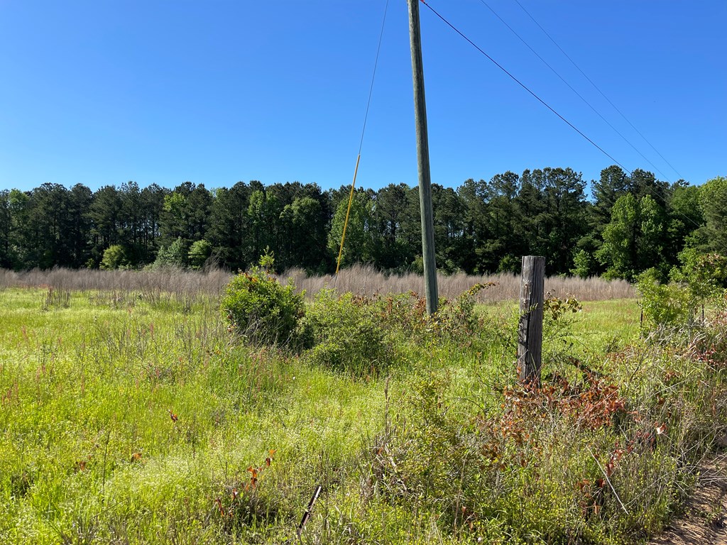 0 C Cora Powell Road Samson, AL 36477 - Photo 4 of 5