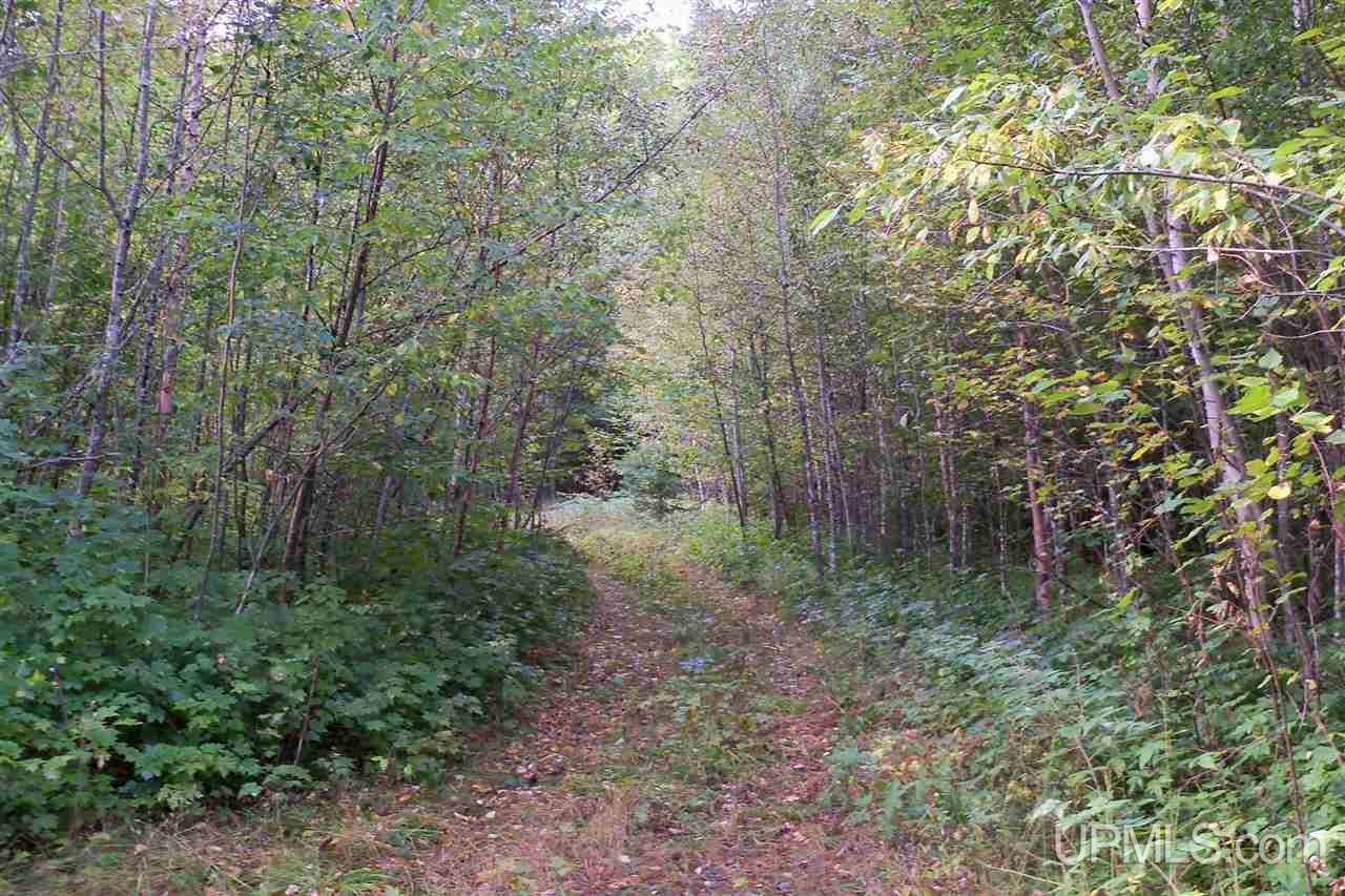 26 Co Road Negaunee, MI 49866 - Photo 9 of 31