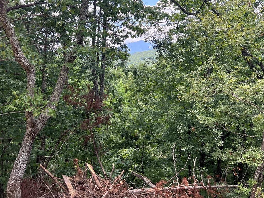 861 Lloyd Huskey Road Pigeon Forge, TN 37863 - Photo 3 of 9