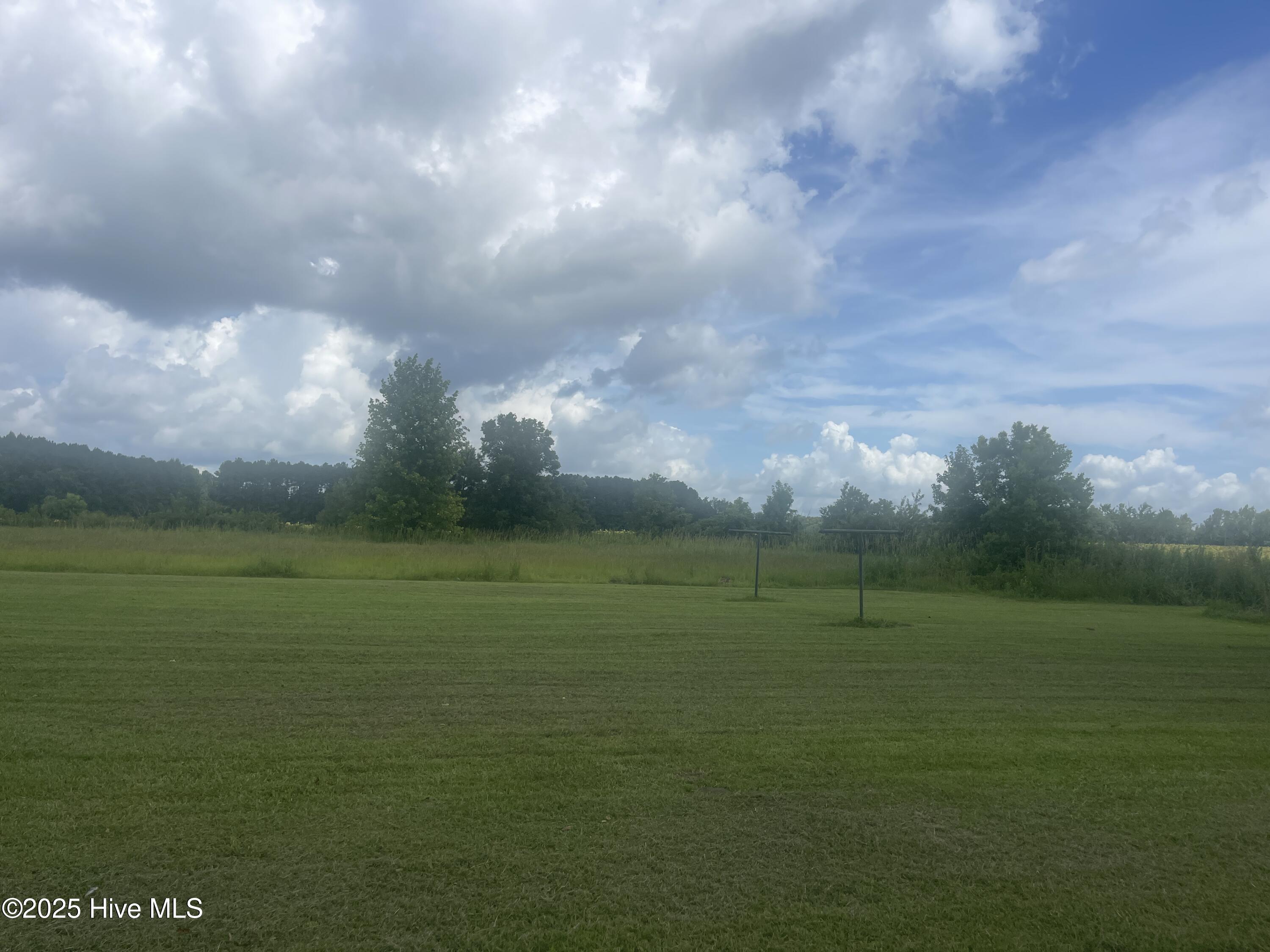 198 M M Ray Road Nakina, NC 28455 - Photo 2 of 15 Back yard