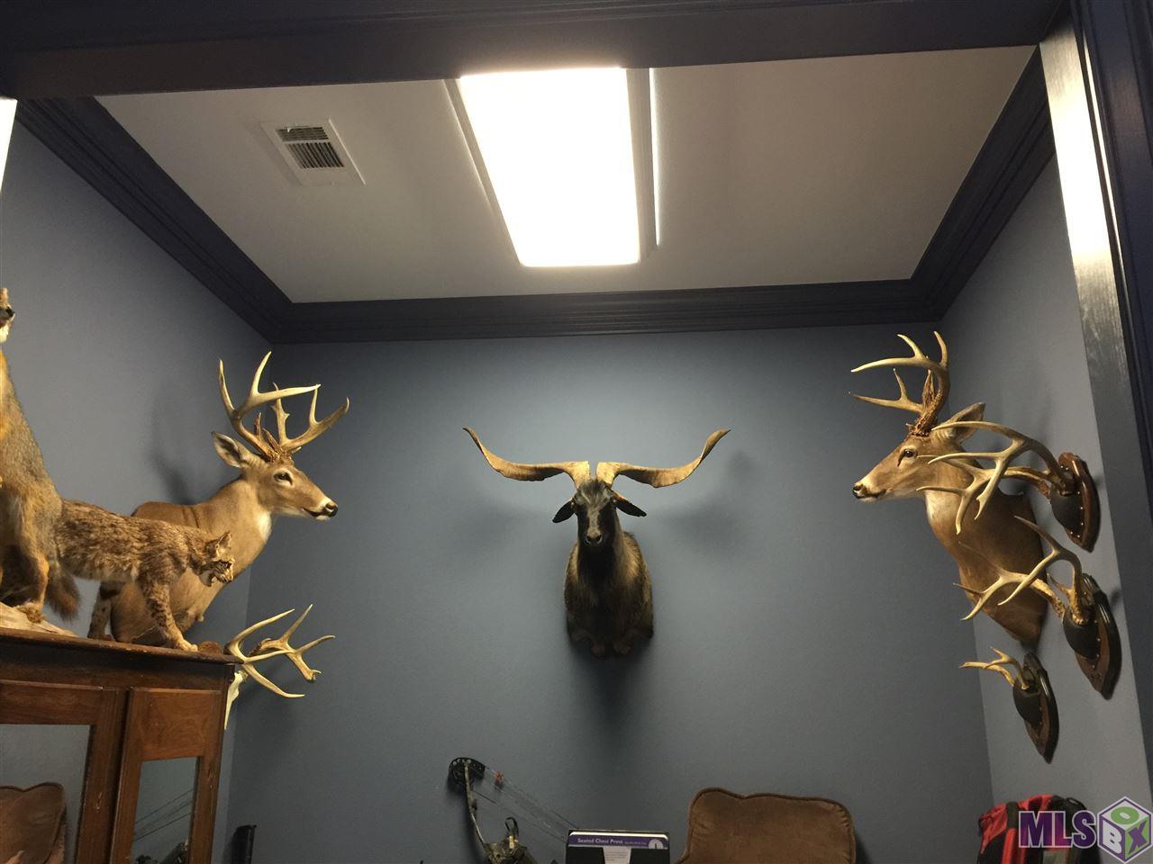 3486 Donegal Road Woodville, MS 39669 - Photo 30 of 47 Gallery Image 30