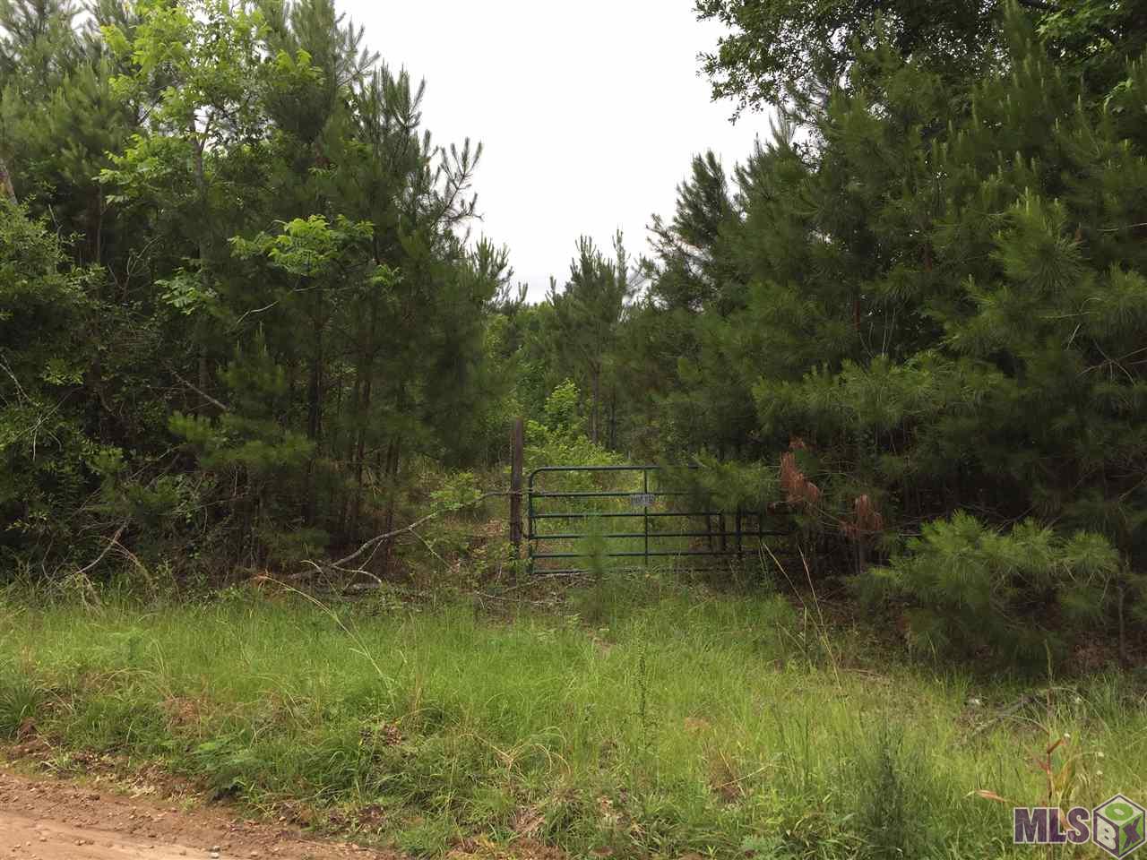 3486 Donegal Road Woodville, MS 39669 - Photo 46 of 47 Gallery Image 46