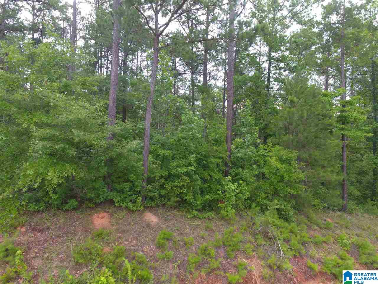 2811 County Road, Unit 14 Lineville, AL 36266 - Photo 4 of 5